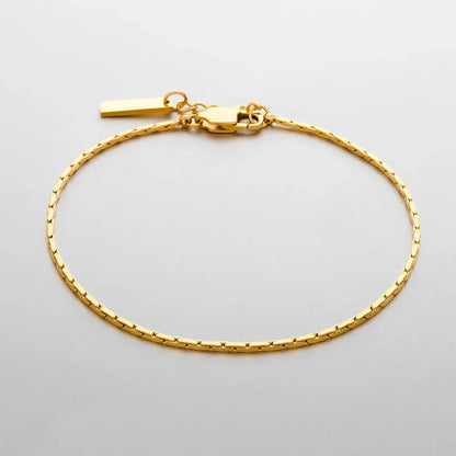 Pulsera Minimalista Dominus